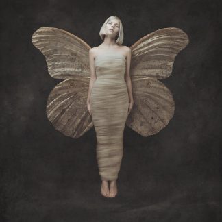 Aurora - All My Demons Greeting My As A Friend [LP]