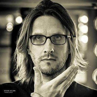 Steven Wilson - Transience [2xLP]