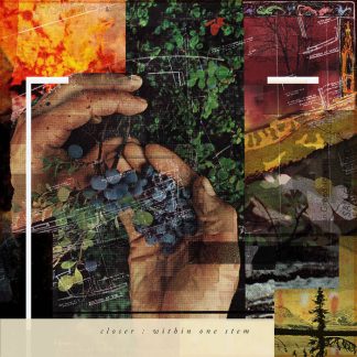 Closer - Within One Stem [LP]