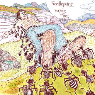 Needlepoint - Walking Up That Valley [LP]