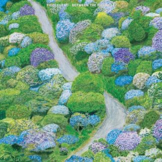 Fiddlehead - Between The Richness [LTD LP] (Blue & White Galaxy Swirl)
