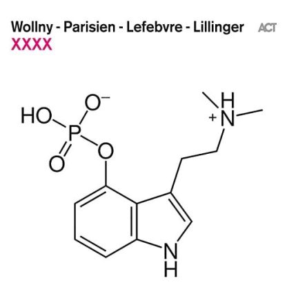 Wollny / Parisien / Lefebvre / Lillinger - XXXX [LP]