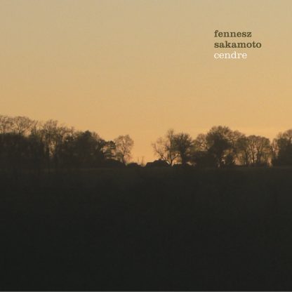 Fennesz & Ryuichi Sakamoto - Cendre [2x10"]