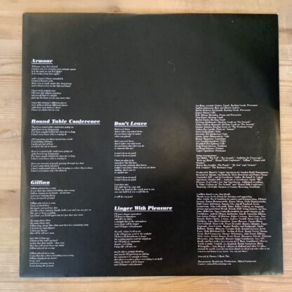 Ane Brun - Changing Of The Seasons [LTD LP] (Clear Vinyl) (2. hand) - Bilde 3