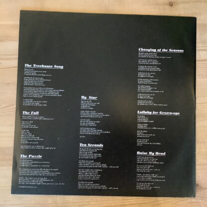 Ane Brun - Changing Of The Seasons [LTD LP] (Clear Vinyl) (2. hand) - Bilde 4