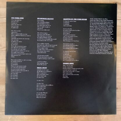 Ane Brun - Spending Time With Morgan [LP] (2. hand) - Bilde 3