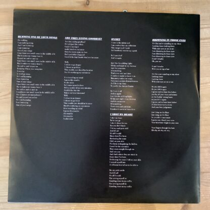 Ane Brun - Spending Time With Morgan [LP] (2. hand) - Bilde 4
