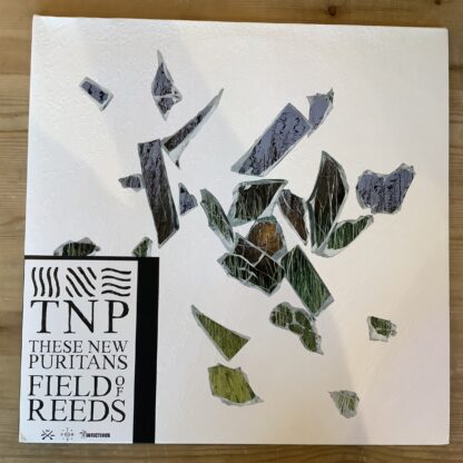 These New Puritans - Field Of Reeds [LP] (2. hand)
