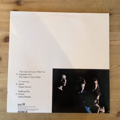 These New Puritans - Field Of Reeds [LP] (2. hand) - Bilde 2