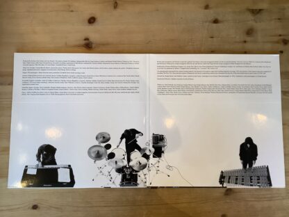 These New Puritans - Field Of Reeds [LP] (2. hand) - Bilde 3