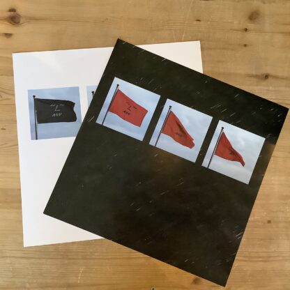 These New Puritans - Field Of Reeds [LP] (2. hand) - Bilde 4