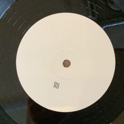 These New Puritans - Field Of Reeds [LP] (2. hand) - Bilde 5
