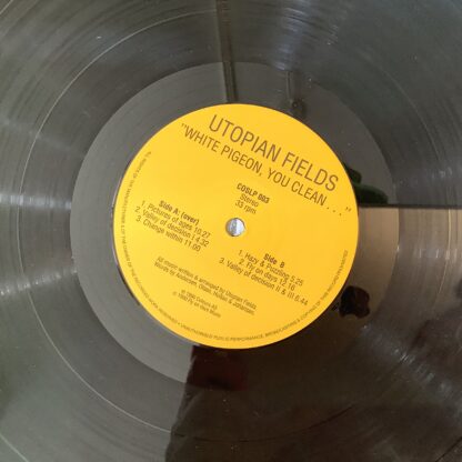 Utopian Fields - White Pigeon, You Clean... [LP] (2. hand) - Bilde 4