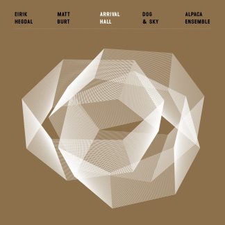 Matt Burt/Eirik Hegdal/Dog & Sky/Alpaca Ensemble - Arrival Hall [LP] (Gold vinyl)