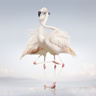 Rustie - Green Language [2xLP]