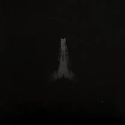 SAULT - Untitled (Rise) [2xLP]