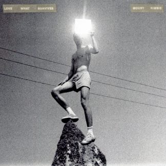 Mount Kimbie - Love What Survives [2xLP]