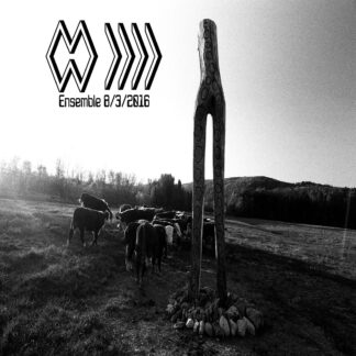 Band Whose Name Is A Symbol - Ensemble 2016 [LP]
