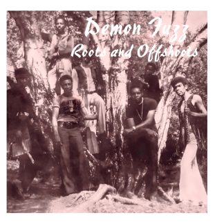 Demon Fuzz - Roots And Offshoots [LP]