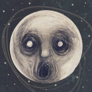 Steven Wilson - The Raven That Refused To Sing [2xLP]