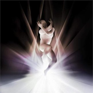 The Smashing Pumpkins - CYR [2xLP]