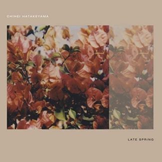Chihei Hatakeyama - Late Spring [LP]