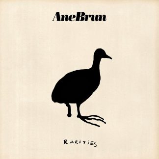 Ane Brun - Rarities [2xLP]