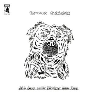 Common Grackle - Old Dog New Tricks Who This [LP]