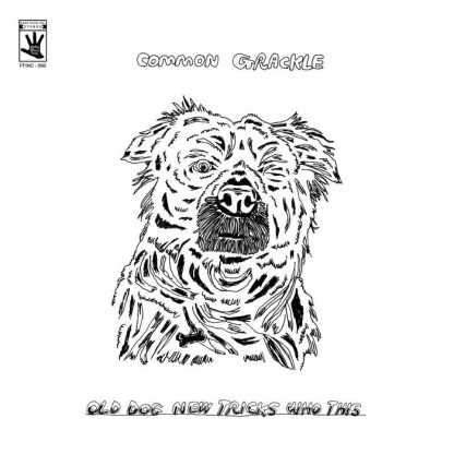 Common Grackle - Old Dog New Tricks Who This [LP]