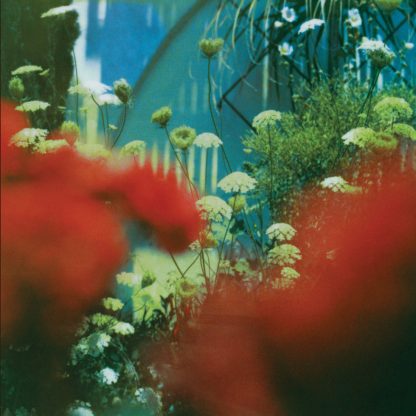 Pulled Apart By Horses - The Haze [LP]