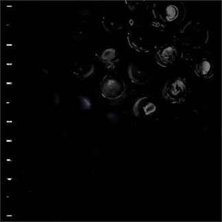 Crumb - Ice Melt [LP] (Red Vinyl)