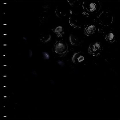 Crumb - Ice Melt [LP] (Red Vinyl)