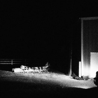 Cloud Nothings - Last Building Burning [LP]