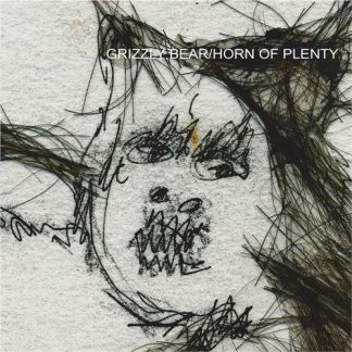 Grizzly Bear - Horn of Plenty [LTD LP]