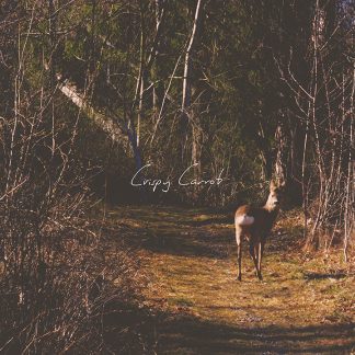 Crispy Carrot - Animal Kingdom [LP]