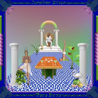 Jonathan Wilson - Rare Birds [2xLP]