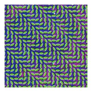 Animal Collective - Merriweather Post Pavillion [2xLP]