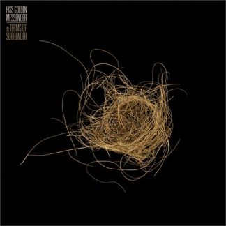 Hiss Golden Messenger - Terms Of Surrender [LP]