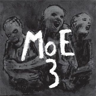 MoE - 3 [LP]