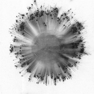 Trentemøller - Obverse [2xLP]