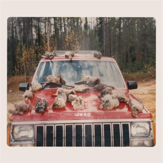 Efrim Manuel Menuck & Kevin Doria - are SING SINCK, SING [LP]