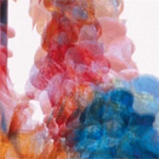 Dungen - Skit I Allt Instrumental [5x7"]