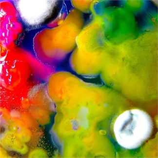 Guerilla Toss - Fabously Alive [LP]
