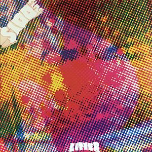 Litter - $ 100 Fine [LP]