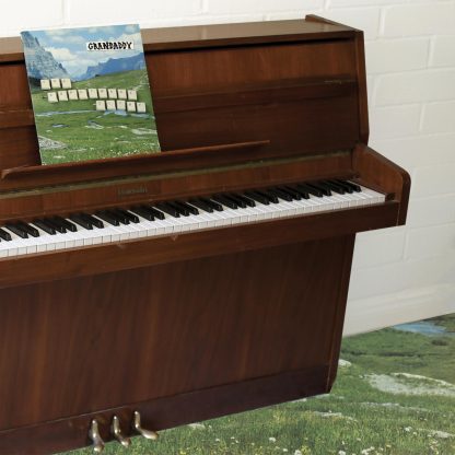 Grandaddy - Sophtware Slump ..... On A Wooden Piano [LP]