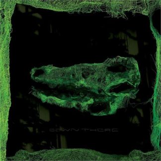 Avey Tare - Down There [LP]