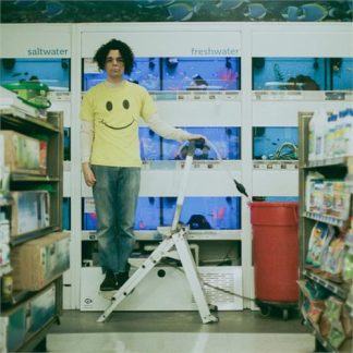 Charlie Hickey - Count The Stairs [LTD 12"]