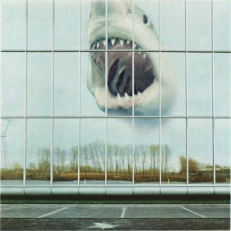 Black Mountain - Wilderness Heart [LP]