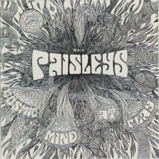 Paisleys - Cosmic Mind At Play [LP]