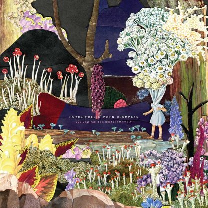 Psychedelic Porn Crumpets - And Now For The Whatchamacallit [LP] (3-colour Splatter vinyl)